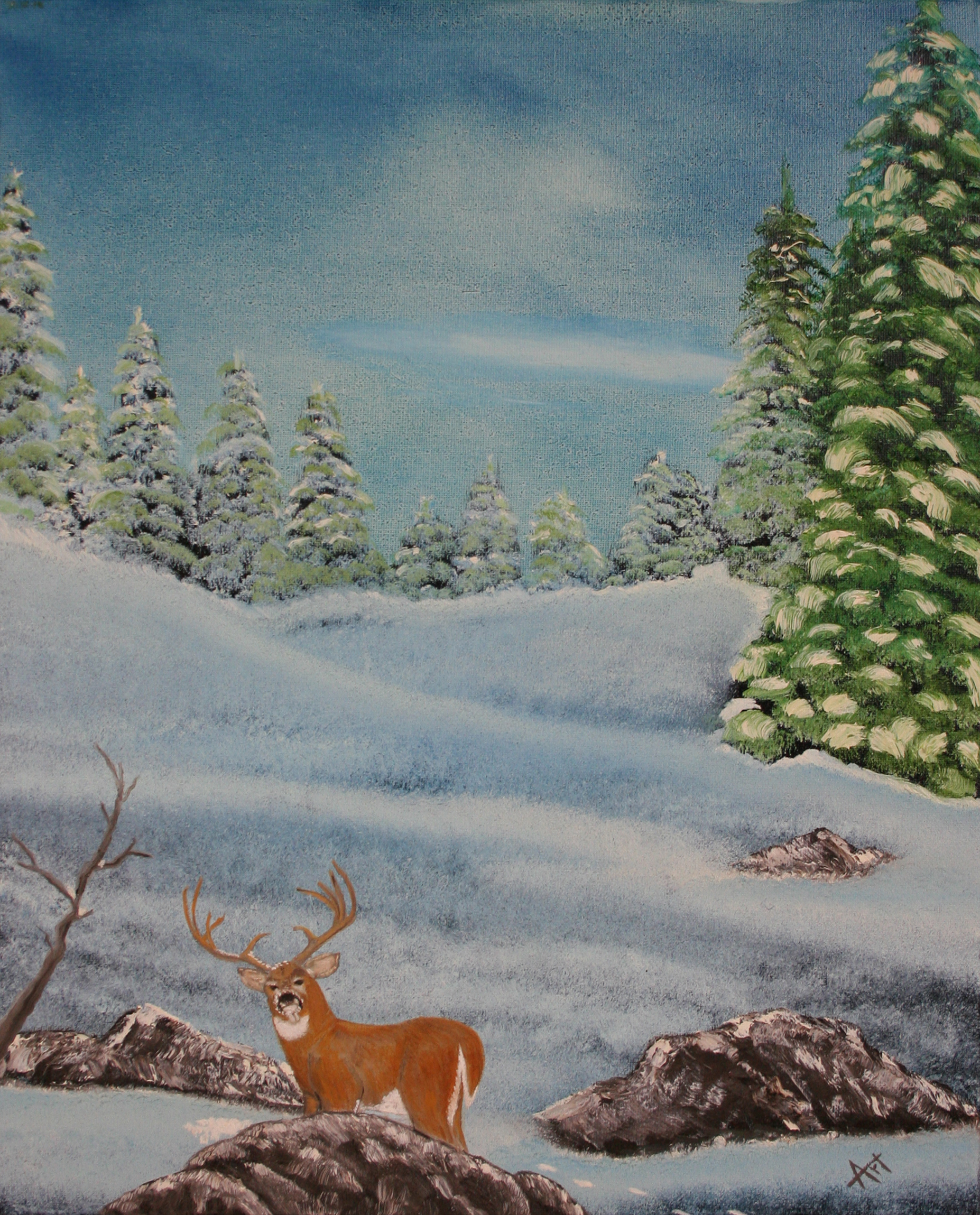 deer