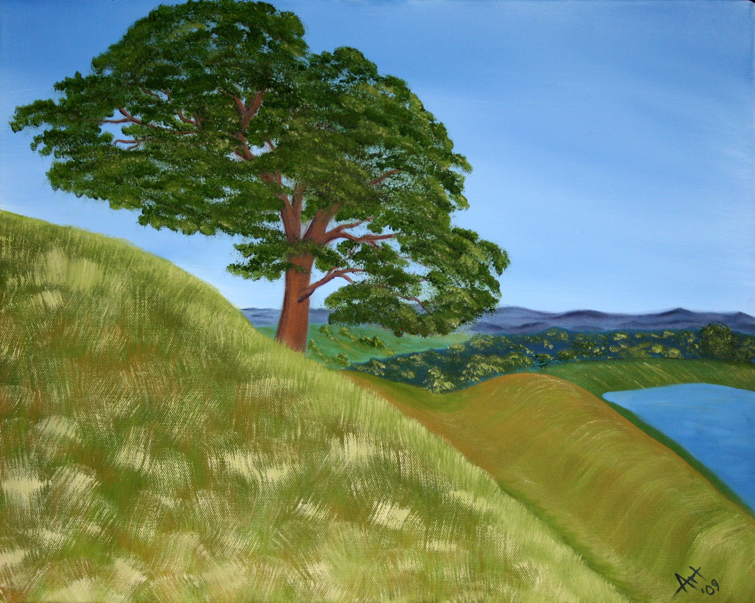 hill-tree