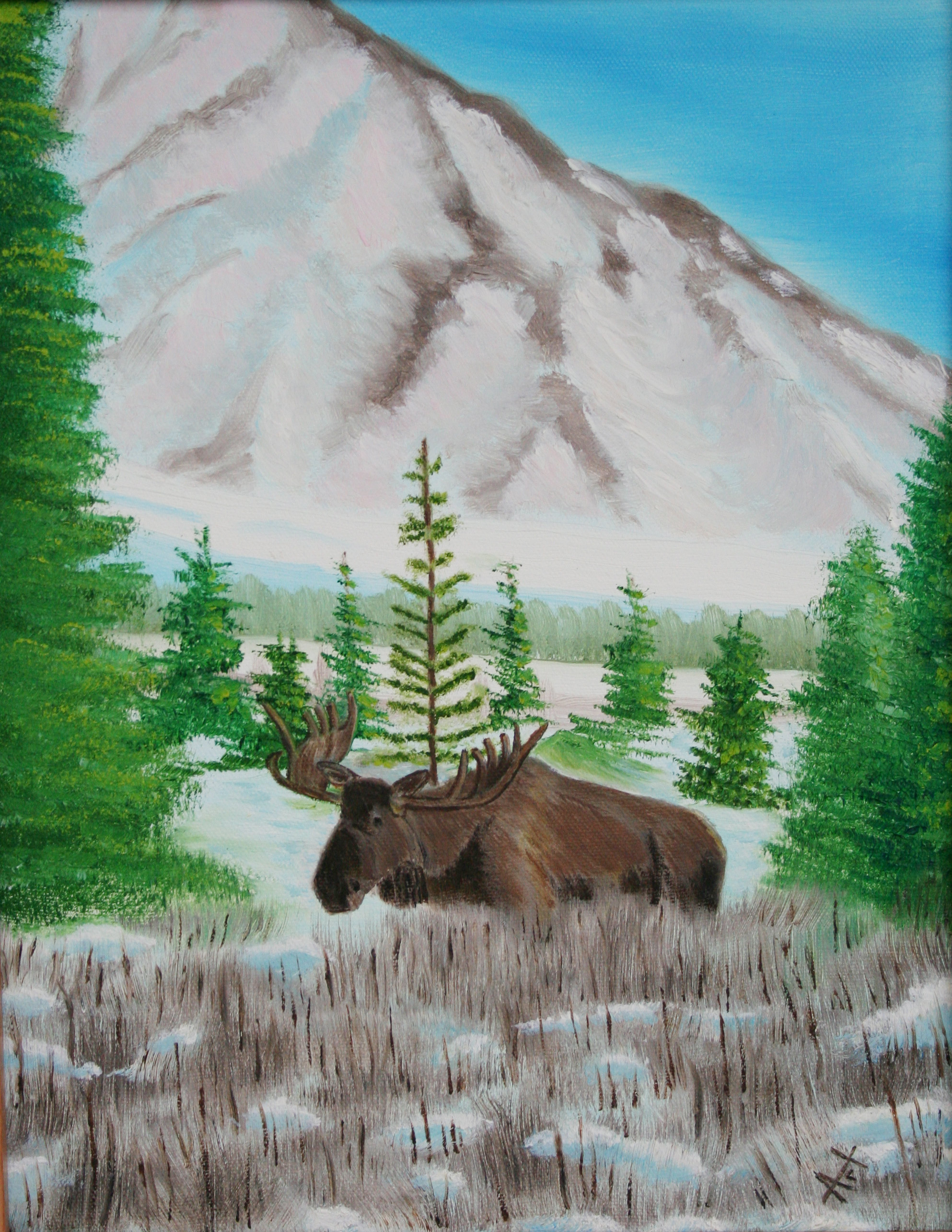 moose