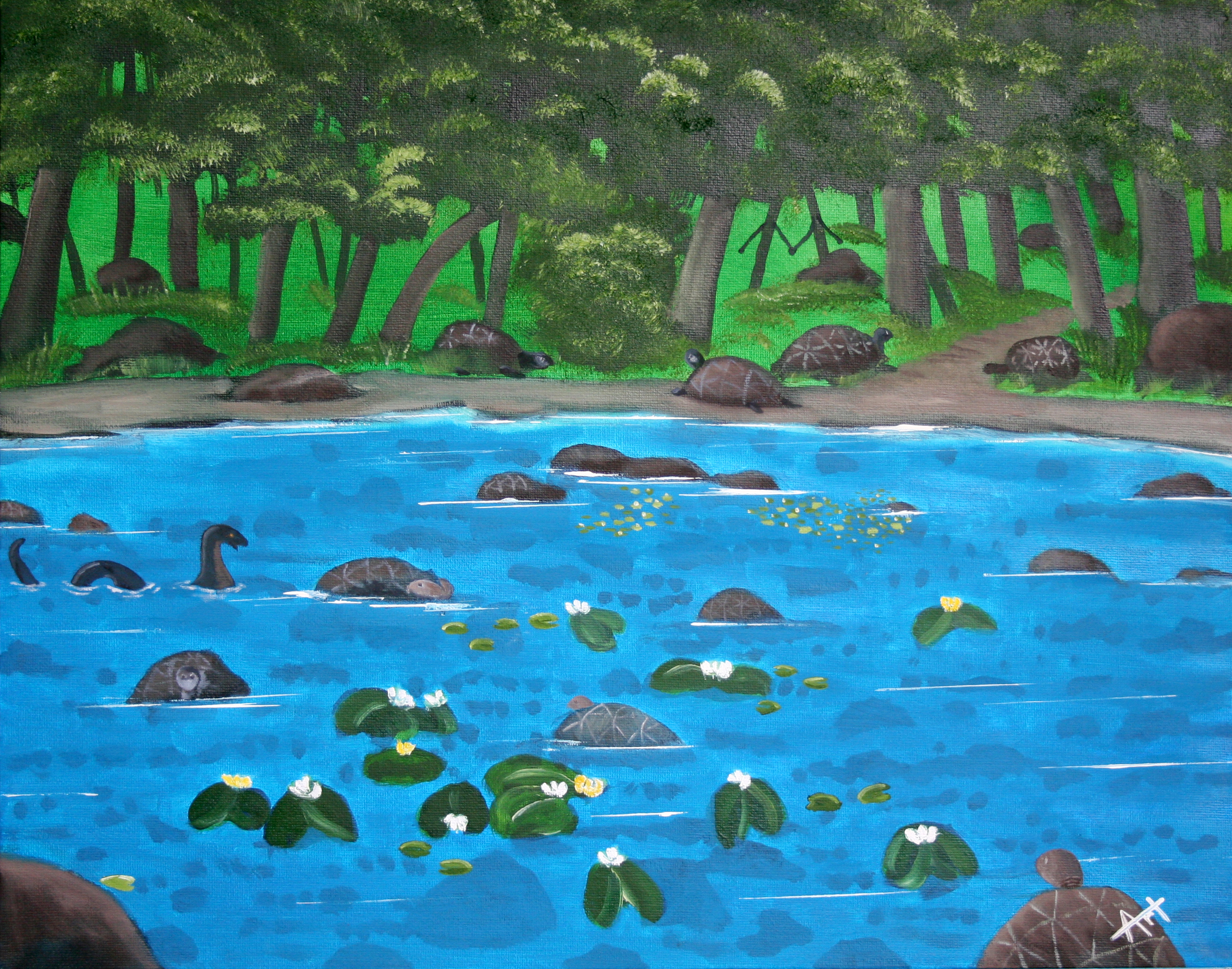 pond